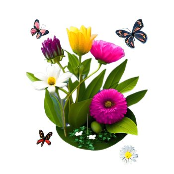 Carnation Flower Garden with transparent background png