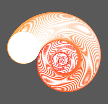 Orange, white and red op art abstract shell. Seashell spirograph logo vector