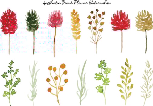Aesthetic Dried Flower Watercolor Collection vector