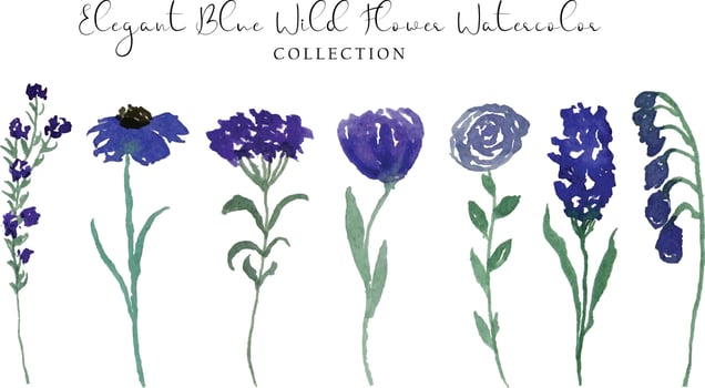 Beautiful Blue Wild Flower Watercolor Collection vector