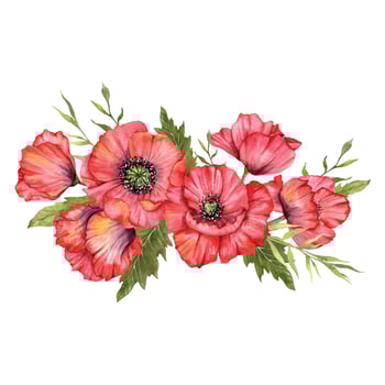 Red Poppy Flowers Watercolor Illustration,  Hand Painted Wildflowers Bouquet. Perfect for wedding invitations, bridal shower and  floral greeting cards vector