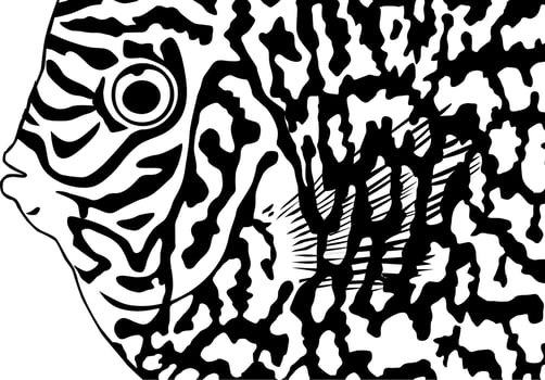 Artistic Motifs Pattern Inspired by Symphysodon or Discus Fish, for decoration, ornate, background, website, wallpaper, fashion, interior, cover, animal print, or graphic design element vector