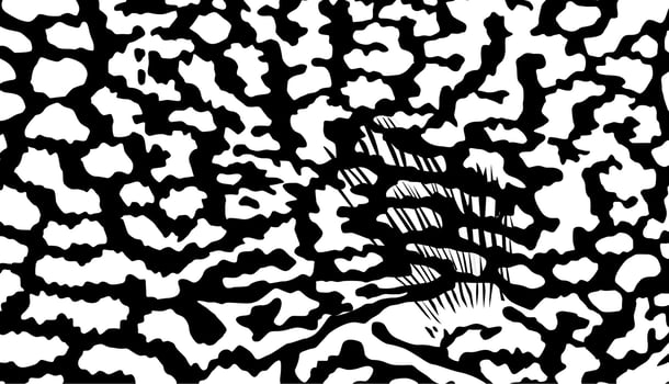 Artistic Motifs Pattern Inspired by Symphysodon or Discus Fish, for decoration, ornate, background, website, wallpaper, fashion, interior, cover, animal print, or graphic design element vector