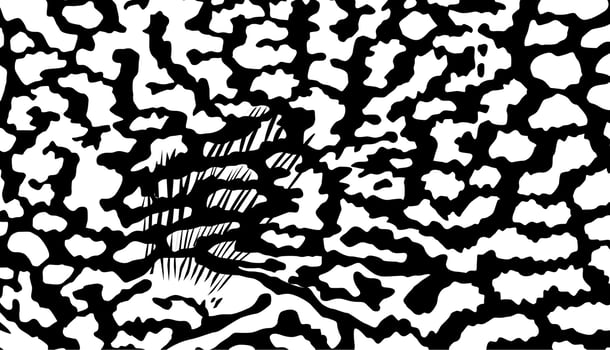 Artistic Motifs Pattern Inspired by Symphysodon or Discus Fish, for decoration, ornate, background, website, wallpaper, fashion, interior, cover, animal print, or graphic design element vector