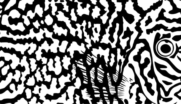 Artistic Motifs Pattern Inspired by Symphysodon or Discus Fish, for decoration, ornate, background, website, wallpaper, fashion, interior, cover, animal print, or graphic design element vector