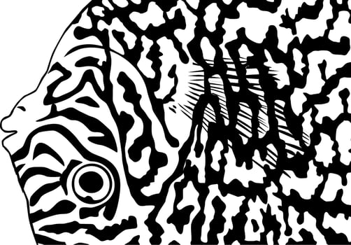 Artistic Motifs Pattern Inspired by Symphysodon or Discus Fish, for decoration, ornate, background, website, wallpaper, fashion, interior, cover, animal print, or graphic design element vector