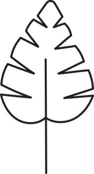 Leaf drawing isolated png