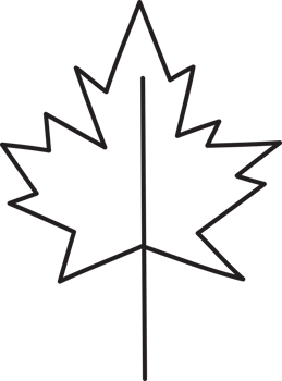 Leaf drawing isolated png