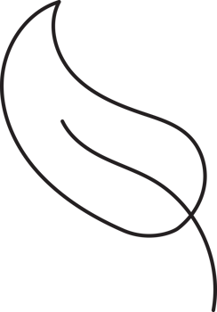 Leaf drawing isolated png