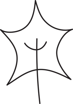 Leaf drawing isolated png