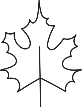 Leaf drawing isolated png