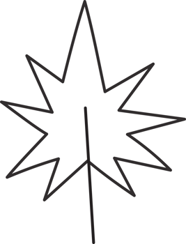 Leaf drawing isolated png