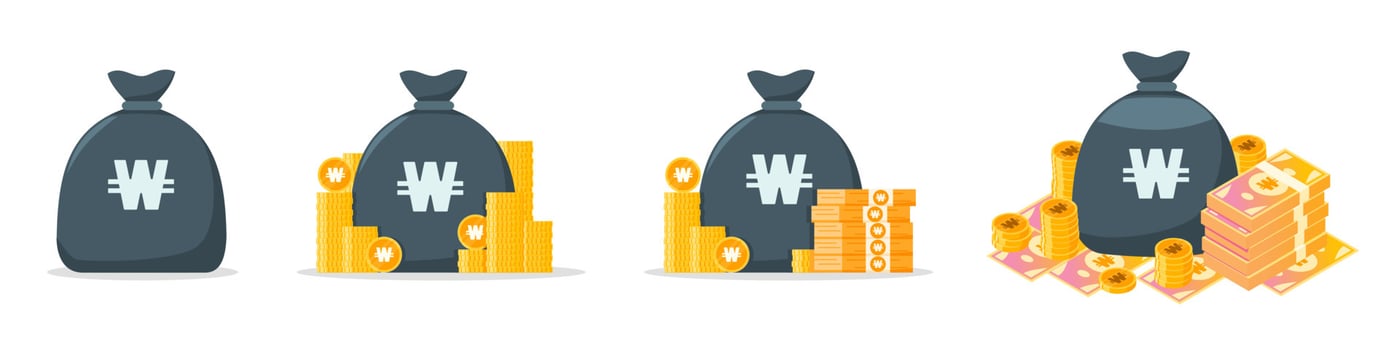 Korean Won Money Bag Icon Set vector