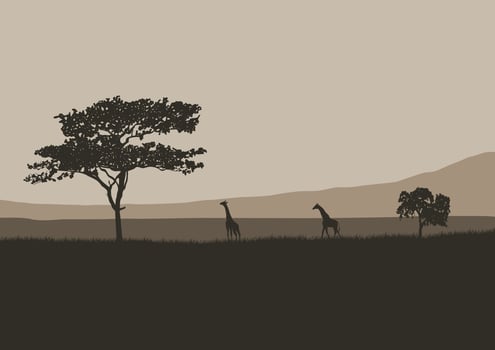 a vector of wildlife scenes in the African wilderness.