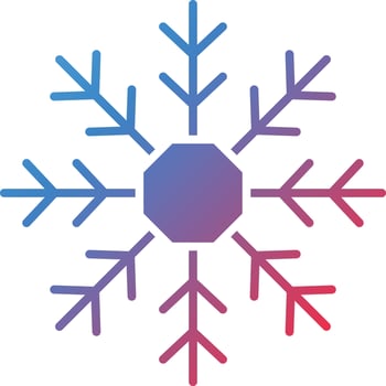Vector Design Snowflake Icon Style