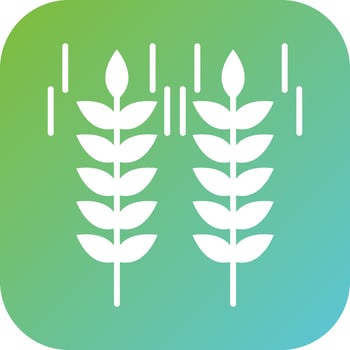 Wheat Vector Icon Style