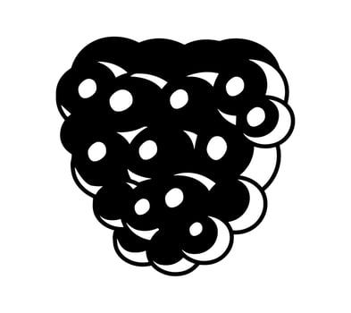 Blackberry fruit black icon isolated on white background. Doodle simple vector emblem, summer juicy food. Juice package or logo design element.
