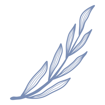 Line Art Leaf png