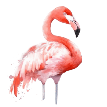 Pink watercolor flamingo. png