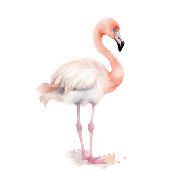 Pink watercolor flamingo png