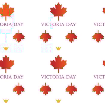 Victoria day. Red maple canada seamless pattern on white background vector