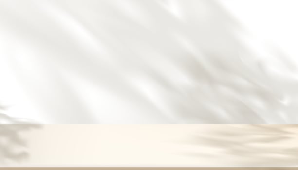 3d White wall background display with shawdow leaves overlay on Beige floor room,Transparent soft light fo branches leaf,Concept for Organic Cosmetic product presentation,Sale,Online in Spring,Summer vector