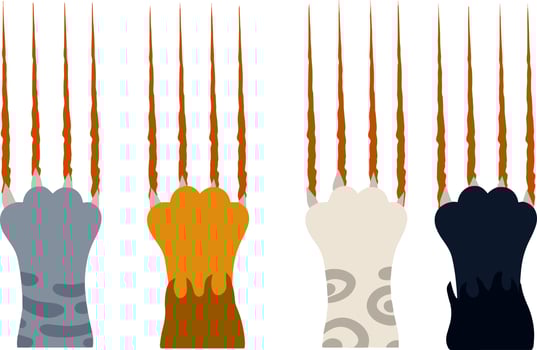 Injury and cut. Cartoon flat illustration. Hands of the beast. Angry pet. Red, black, grey and white striped cat with fur vector