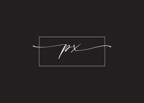 PX logo design and company logo vector