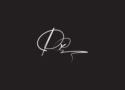 PX logo design and company logo vector