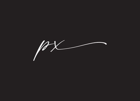PX logo design and company logo vector