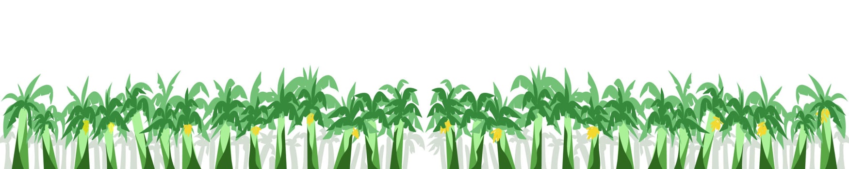 Background illustration with lots of banana trees vector