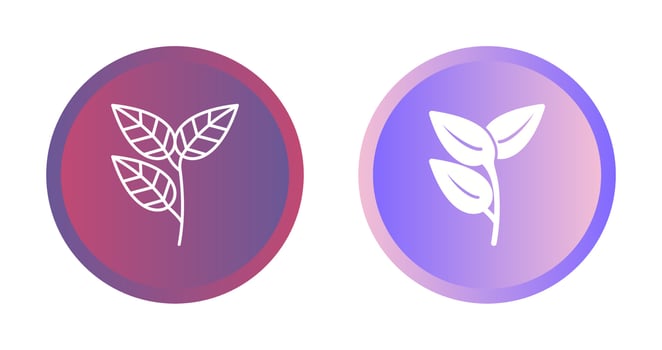 Leaves Vector Icon