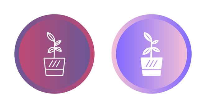 Cards Vector Icon