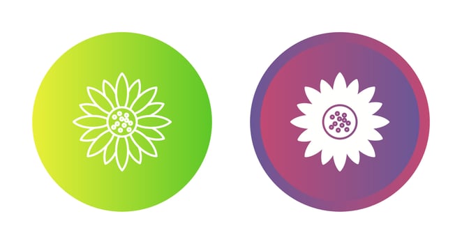 Sunflower Vector Icon