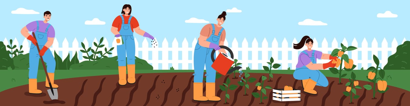 Young people working together in vegetable garden. Women and man digging, planting seeds, watering plants and harvesting. Banner of the importance of teamwork and equal contribution in garden care. vector