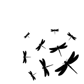 The flight of butterflies flies vector