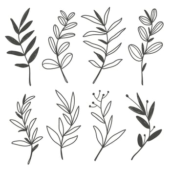 Set of Flower in Doodle Style vector