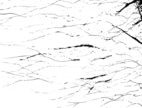 Rustic grunge texture with grain and stains. Abstract noise background. PNG graphic illustration with transparent background.
