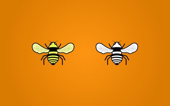 Bee vector image with color and black-white. it can use as icons, clip-art, and on cover any product from bee