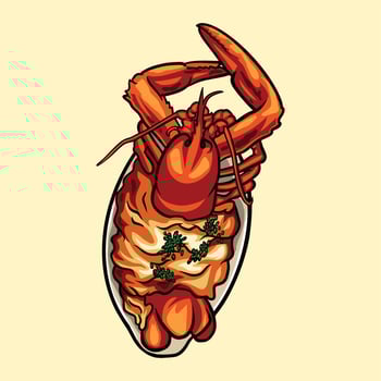 lobster casserole gratin food vector