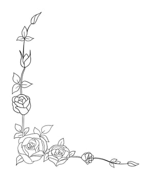 outline rose isolated on white background. vector illustartion