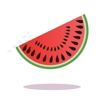 Fresh watermelon illustration design template vector