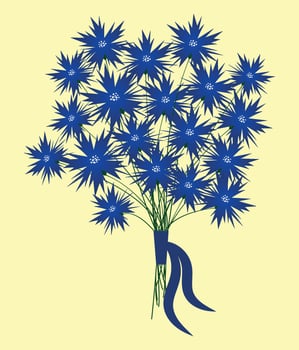 Beautiful bouquet of cornflowers. vector
