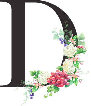 Alphabet and numbers Grape fruit watercolor, Wedding flower letter png