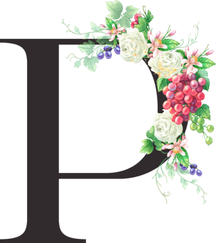 Alphabet and numbers Grape fruit watercolor, Wedding flower letter png