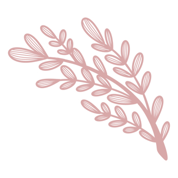 Line Art Leaf png