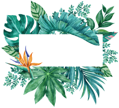 Botanical tropical leaves frame watercolor png