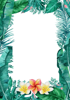 Botanical tropical leaves frame watercolor png