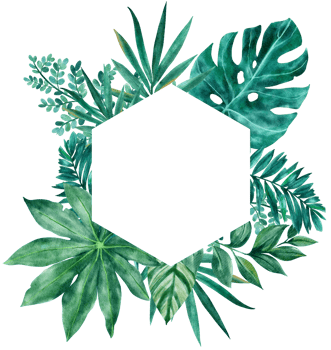 Botanical tropical leaves frame watercolor png