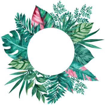 Botanical tropical leaves circle frame watercolor png
